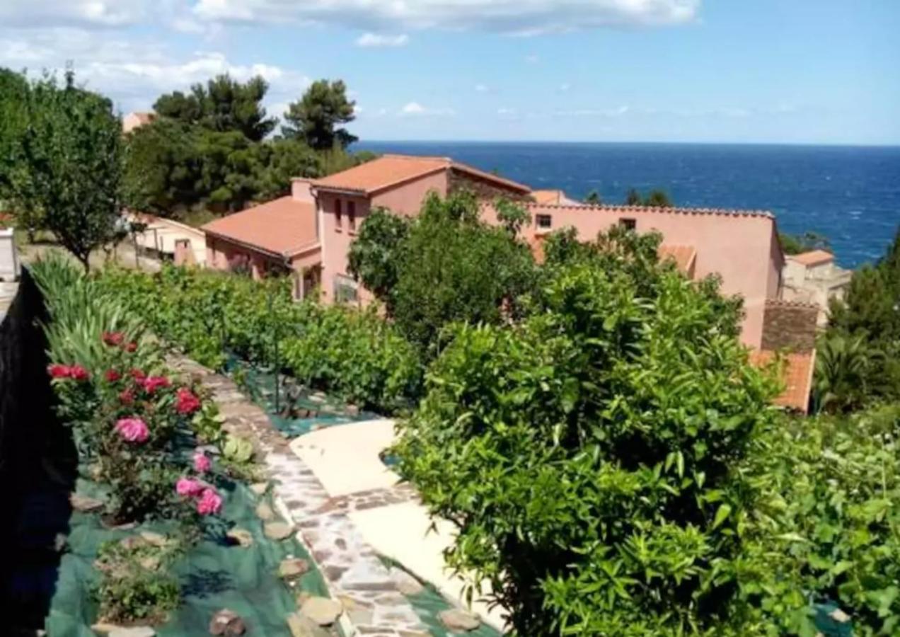 Studio Charmant Avec Vue Sur La Mer A Collioure 55 M² Terrasse Apartman Kültér fotó