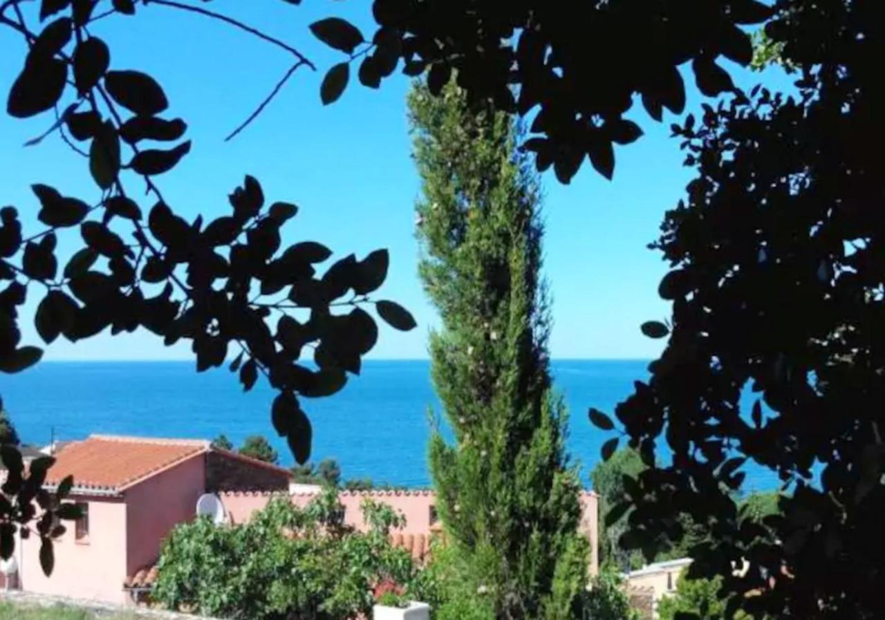 Studio Charmant Avec Vue Sur La Mer A Collioure 55 M² Terrasse Apartman Kültér fotó